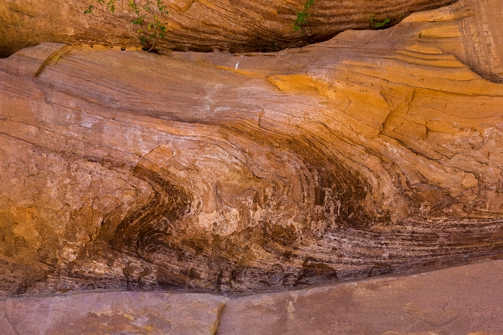 No Mule Canyon Rock Abstract 14-3439.jpg